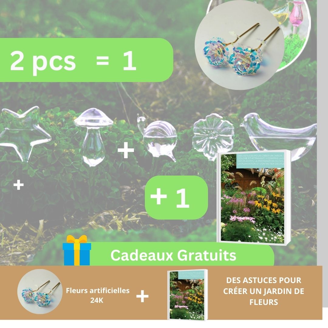 Distributeur d'eau automatique pour plantes et fleurs - Mafrenesiedecoration