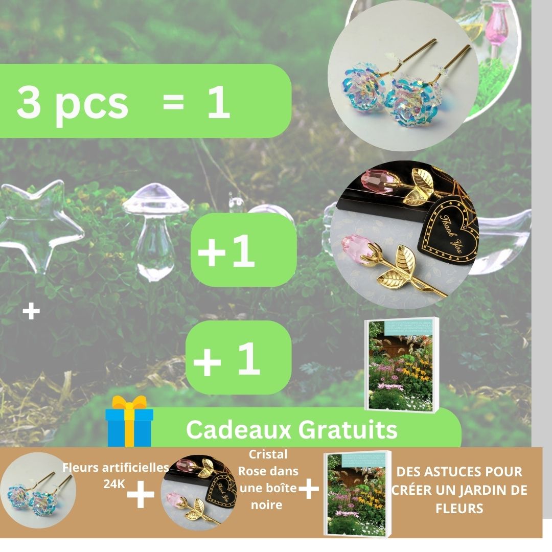 Distributeur d'eau automatique pour plantes et fleurs - Mafrenesiedecoration