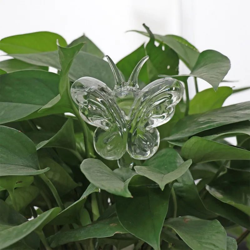 Distributeur d'eau automatique pour plantes et fleurs - Mafrenesiedecoration