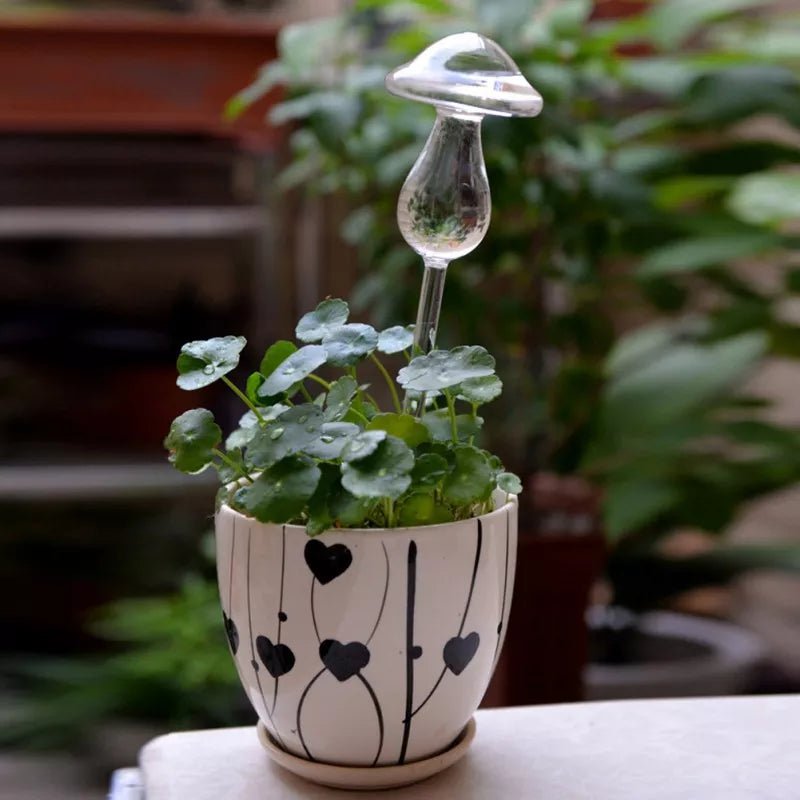 Distributeur d'eau automatique pour plantes et fleurs - Mafrenesiedecoration