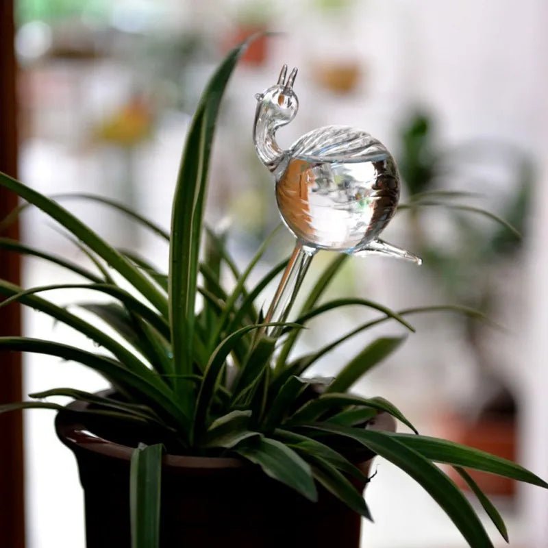 Distributeur d'eau automatique pour plantes et fleurs - Mafrenesiedecoration