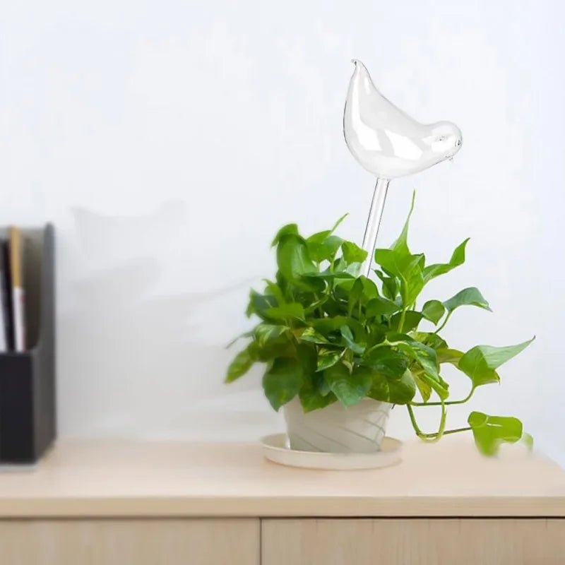 Distributeur d'eau automatique pour plantes et fleurs - Mafrenesiedecoration