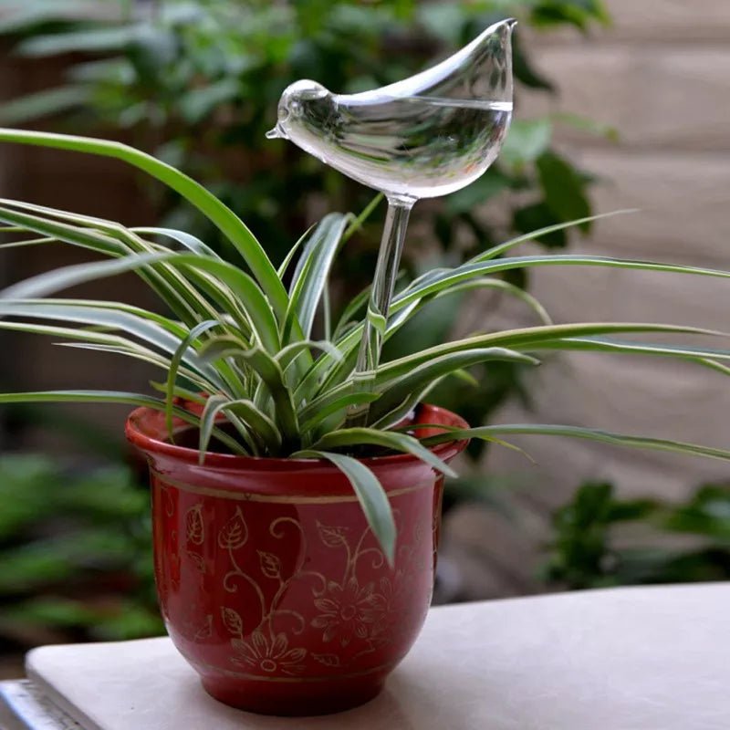 Distributeur d'eau automatique pour plantes et fleurs - Mafrenesiedecoration