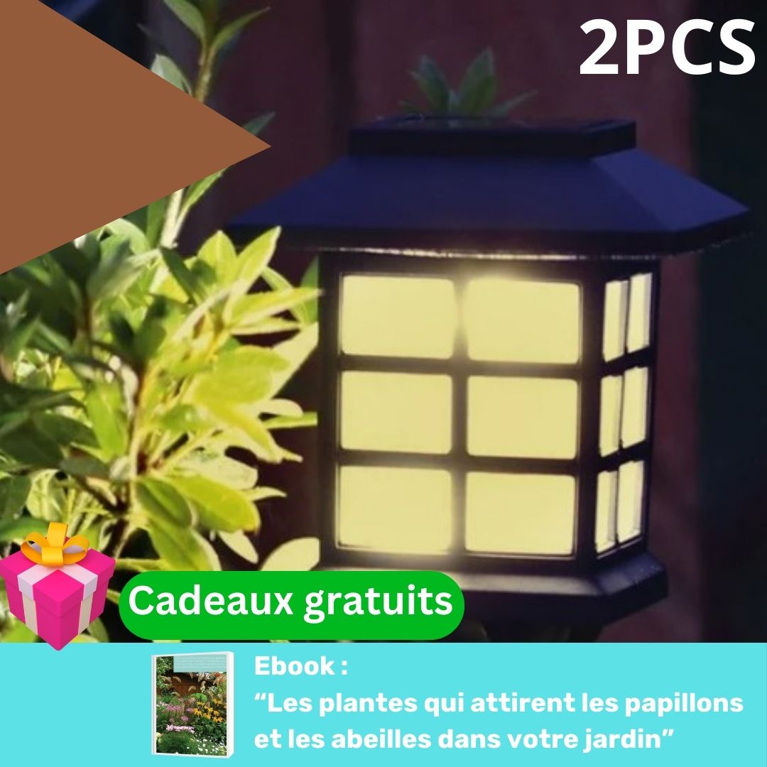 Lampes solaires de jardin /LED Solaire™ - Mafrenesiedecoration-2-pcs